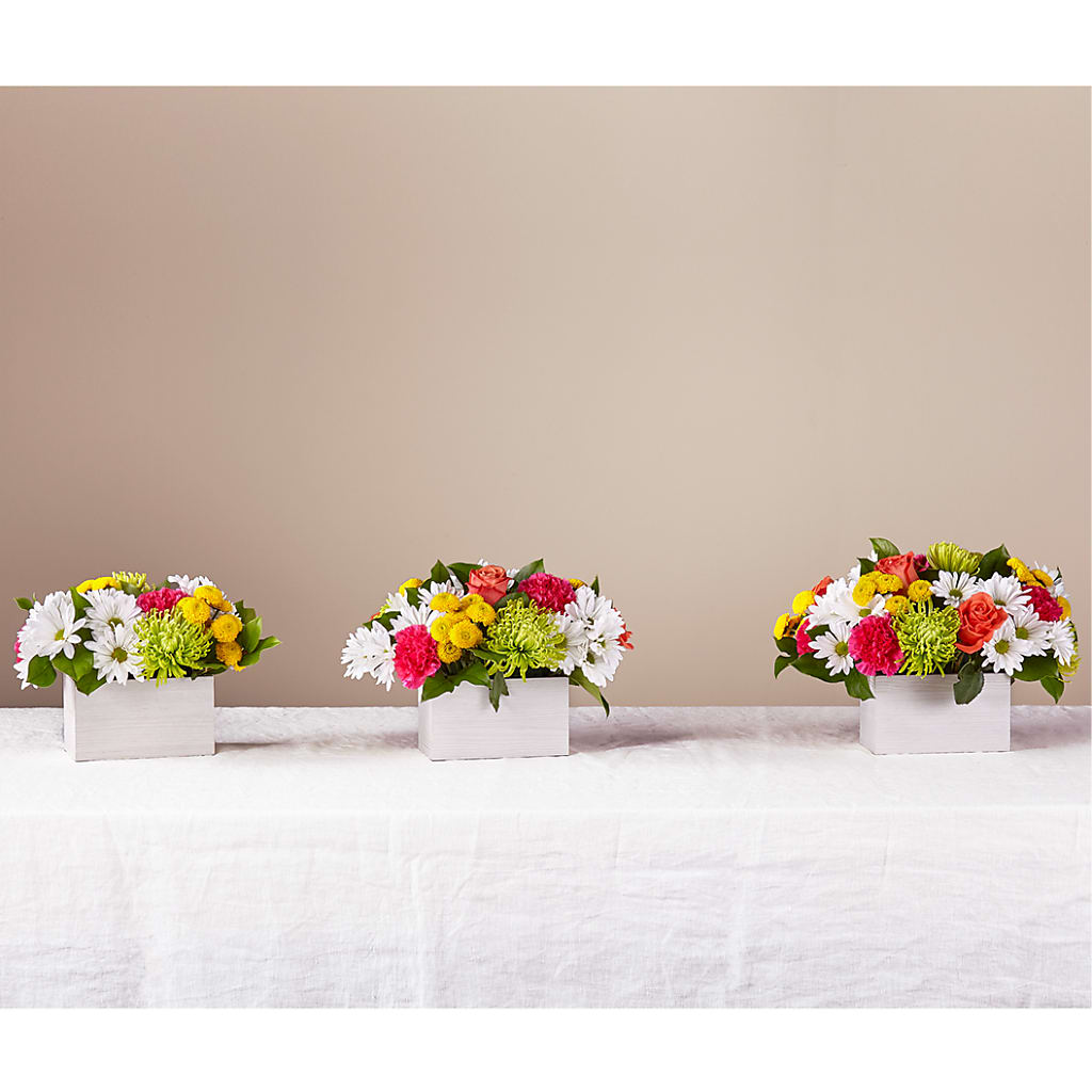 Sorbet Bouquet – Awesome Blossom Florist, San Antonio TX