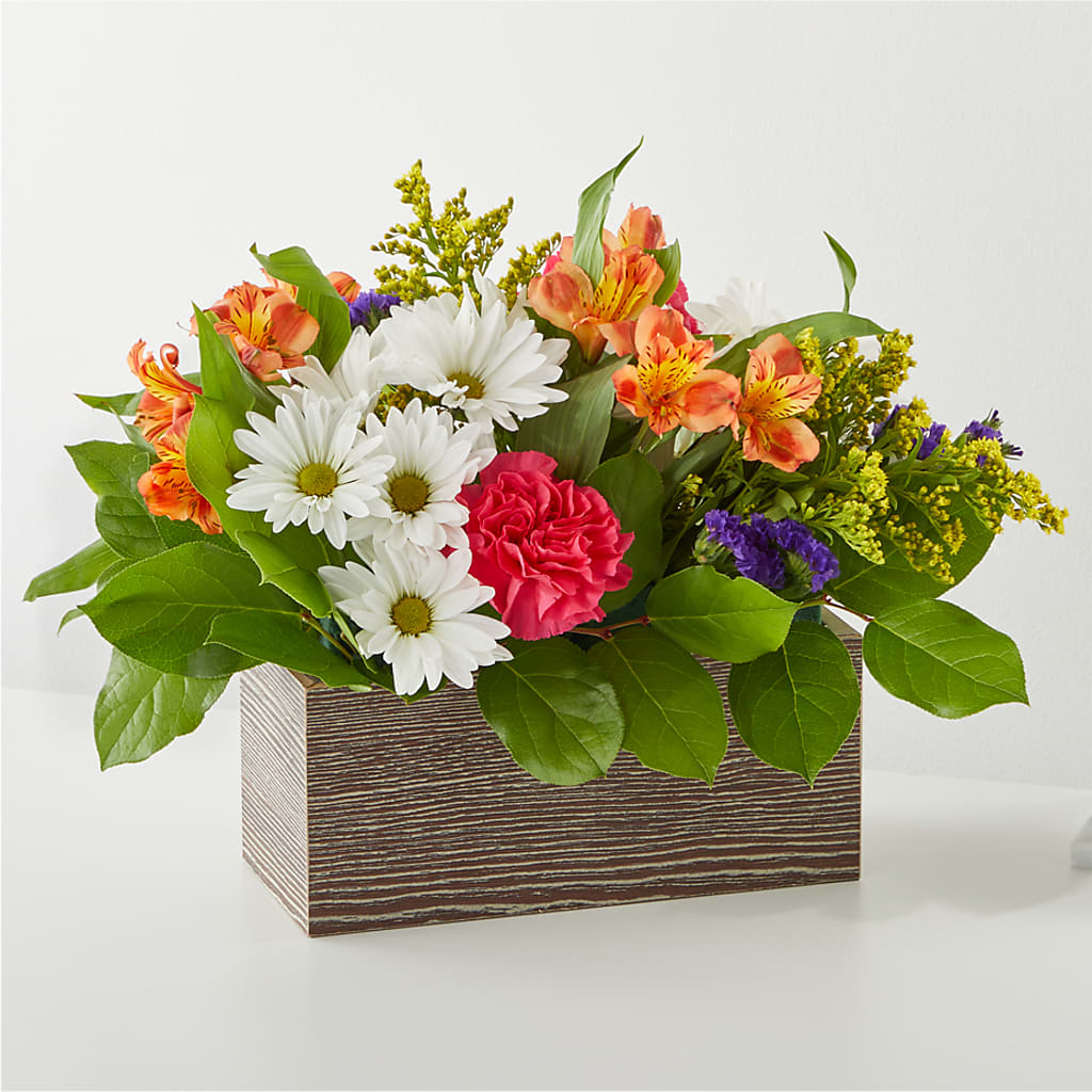 Oopsie Daisy Box Bouquet – Awesome Blossom Florist, San Antonio TX