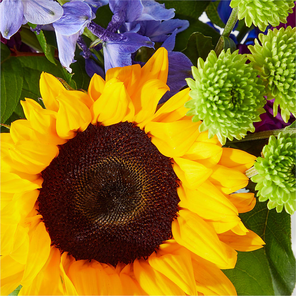 Catching Rays Bouquet – Awesome Blossom Florist, San Antonio TX
