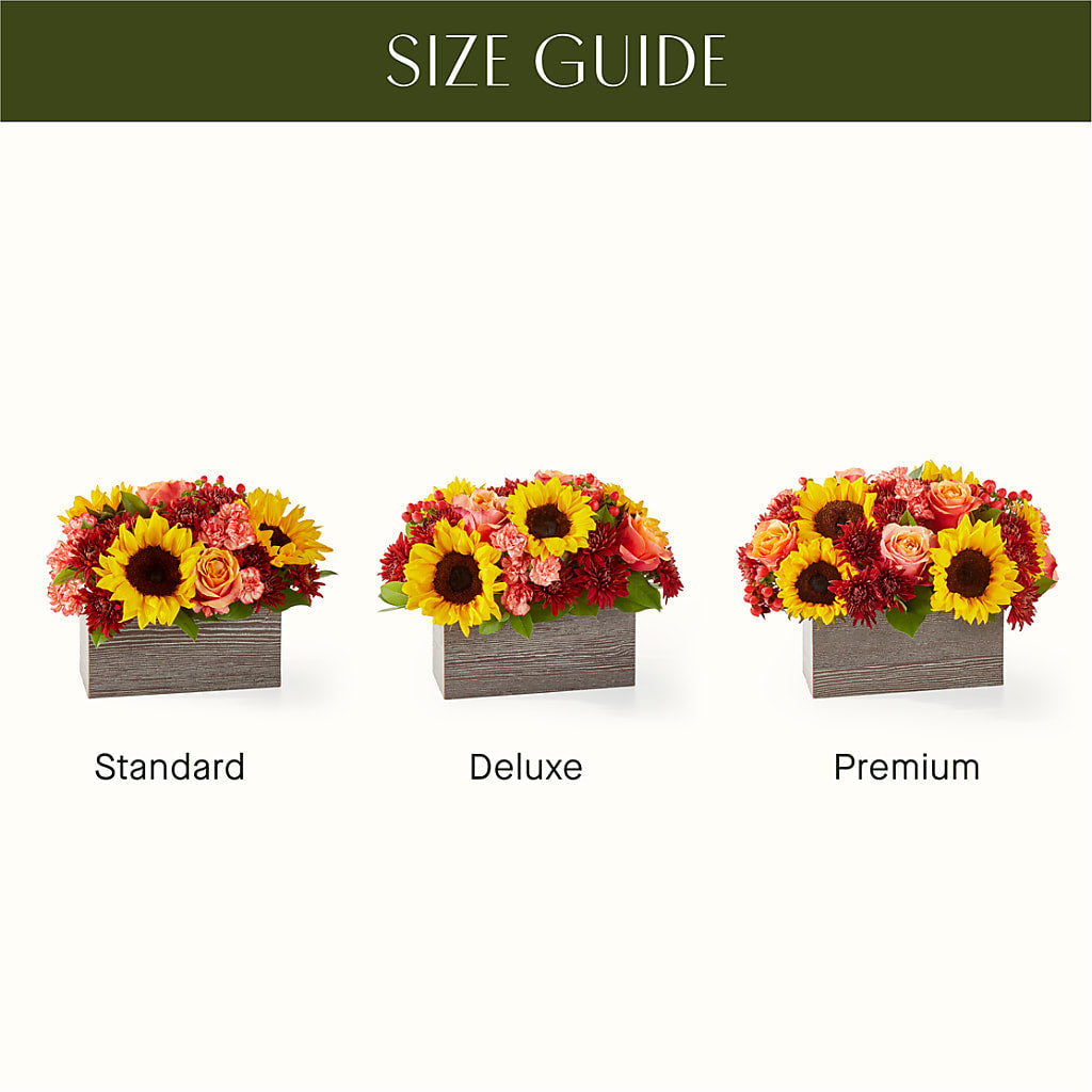 Fresh Cider Bouquet – Awesome Blossom Florist, San Antonio TX