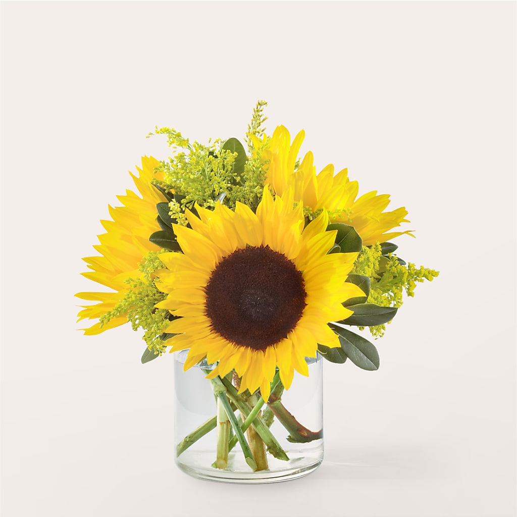 Beaming Sunflower Bouquet – Awesome Blossom Florist, San Antonio TX