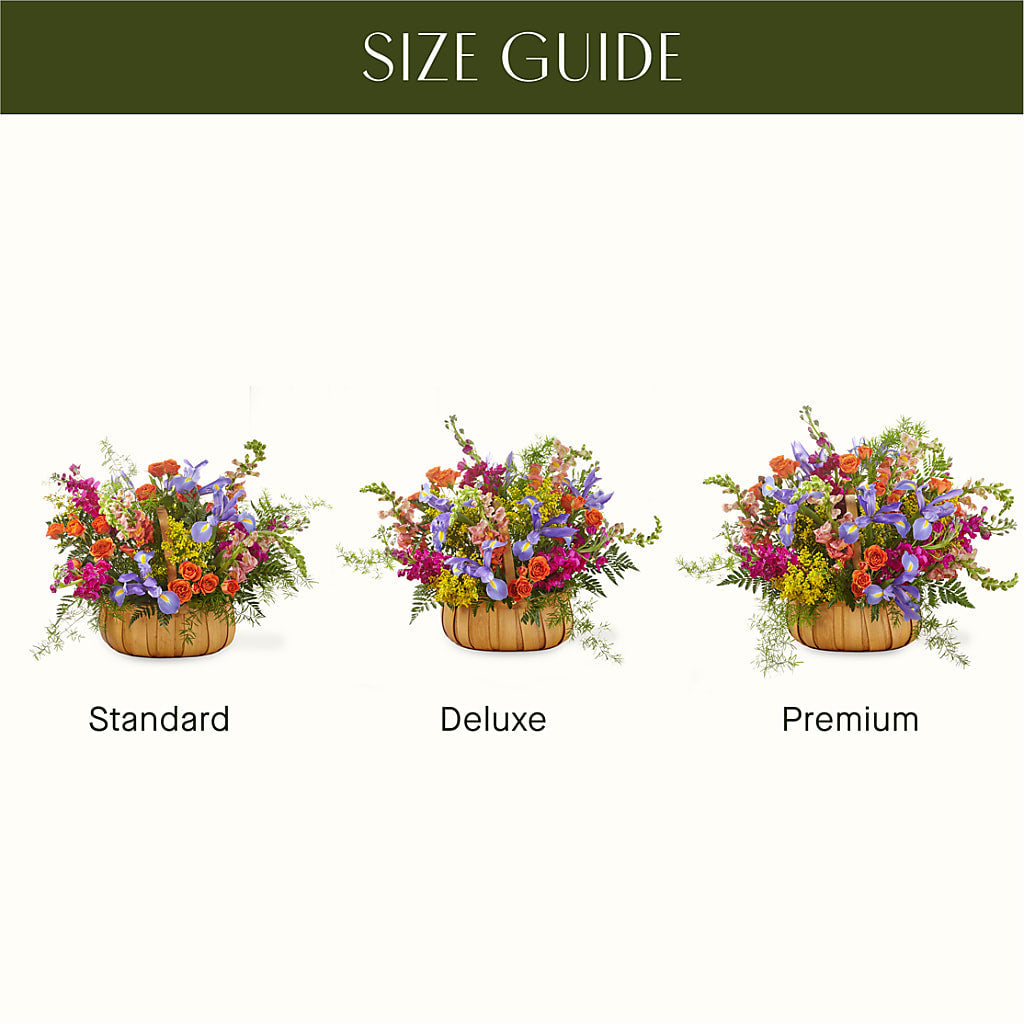 Garden of Life Basket – Awesome Blossom Florist, San Antonio TX