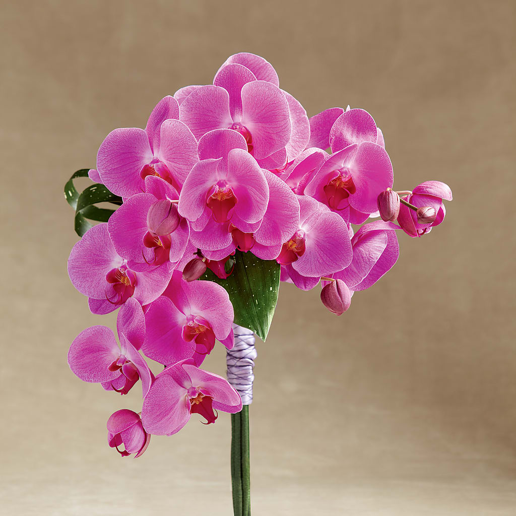 Glorious Bouquet – Awesome Blossom Florist, San Antonio TX