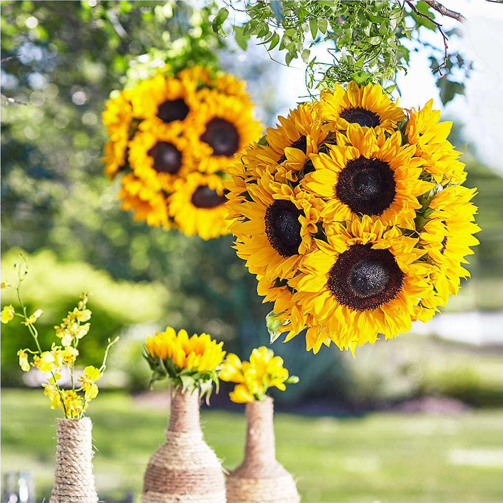 Sublime Garden Hanging Arrangement – Awesome Blossom Florist, San Antonio TX