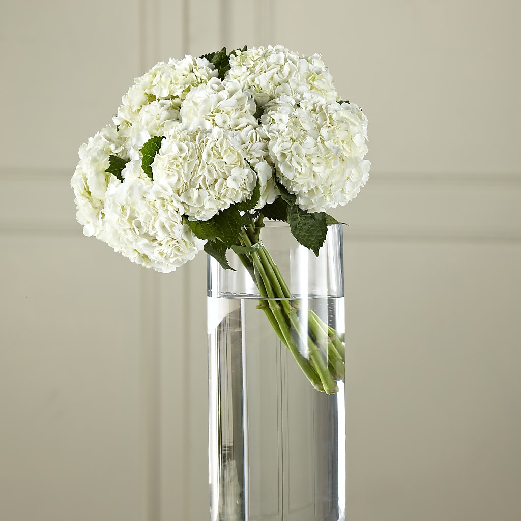 White Hydrangea Hand-Tied Bouquet – Awesome Blossom Florist, San Antonio TX