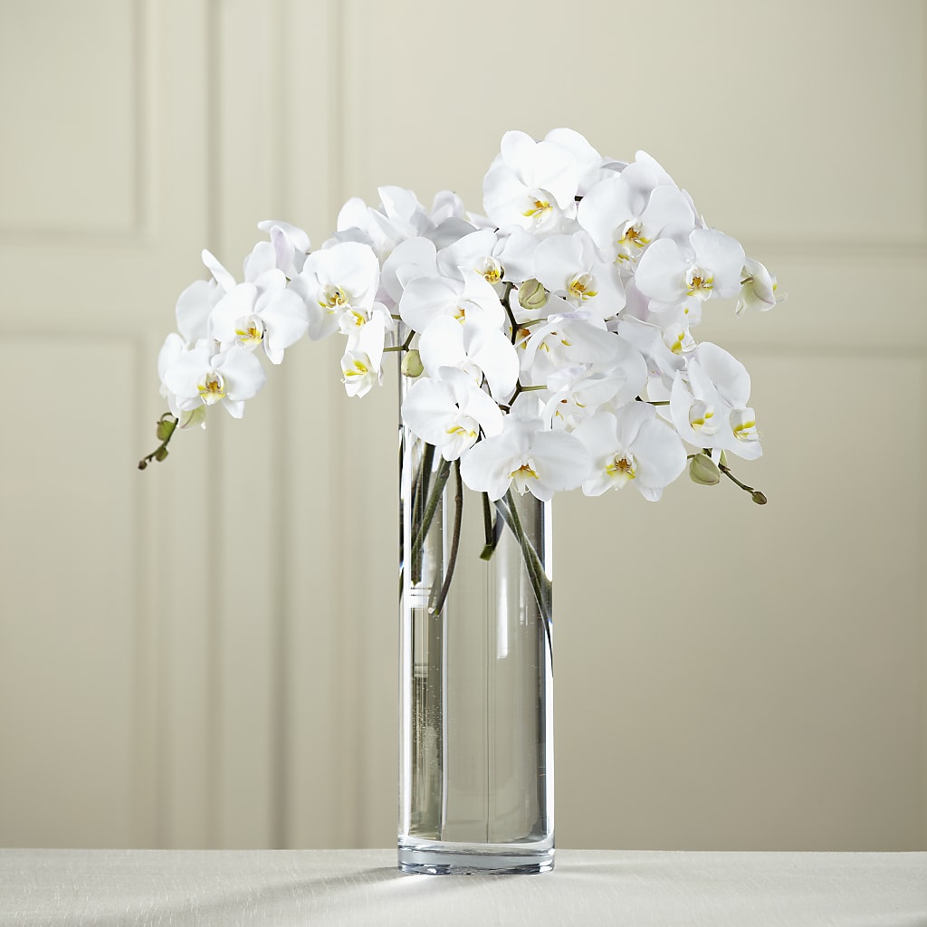 White Phalaenopsis Bouquet – Awesome Blossom Florist, San Antonio TX
