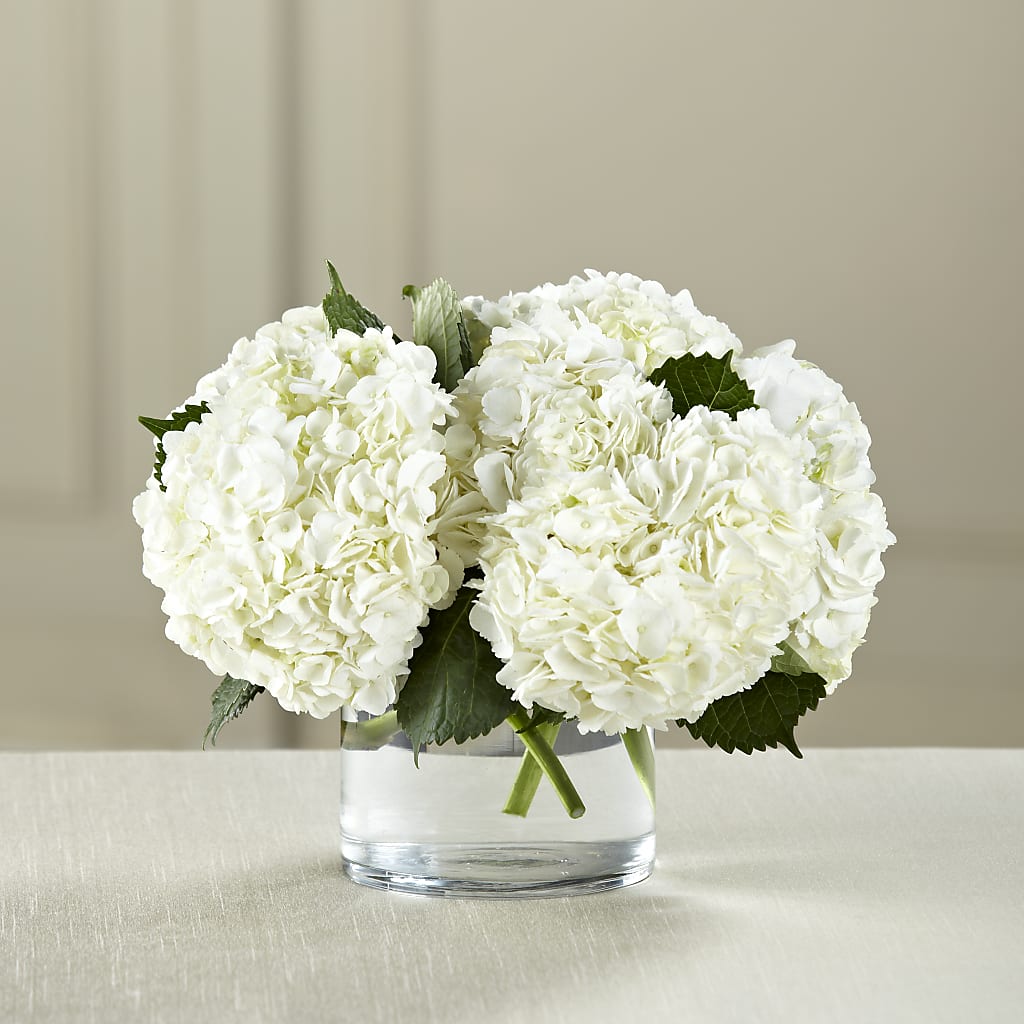White Hydrangea Bouquet – Awesome Blossom Florist, San Antonio TX