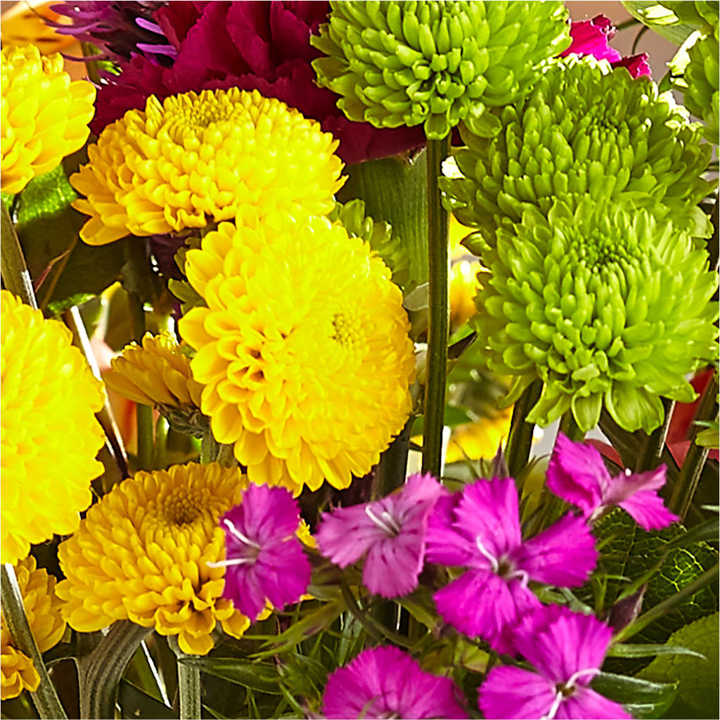 Bold & Bright – A Florist Original –  Awesome Blossom Florist, San Antonio TX