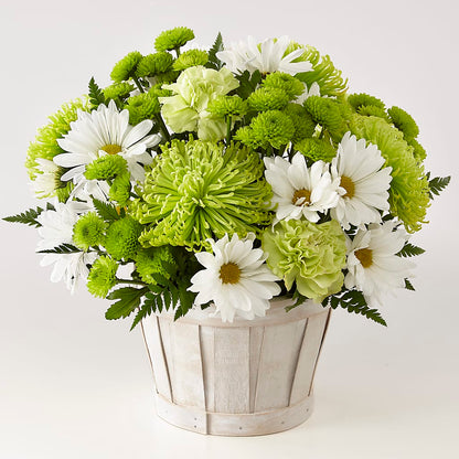 Lucky Charm Basket (Standard) –  Awesome Blossom Florist, San Antonio TX