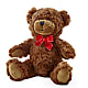 Adorable Plush Bear –  Awesome Blossom Florist, San Antonio TX