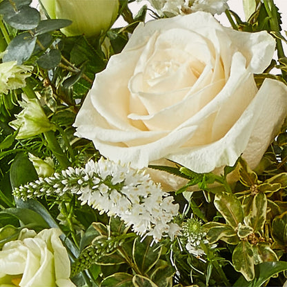 Cashmere Bouquet –  Awesome Blossom Florist, San Antonio TX