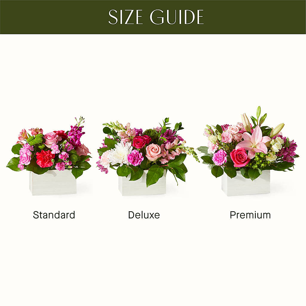 Sweetberry Box – A Florist Original –  Awesome Blossom Florist, San Antonio TX