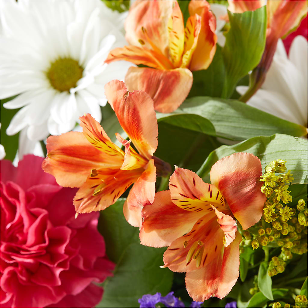 Oopsie Daisy Box Bouquet –  Awesome Blossom Florist, San Antonio TX