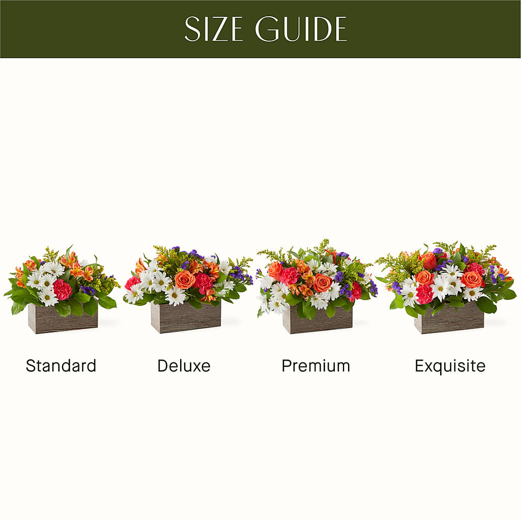 Oopsie Daisy Box Bouquet –  Awesome Blossom Florist, San Antonio TX
