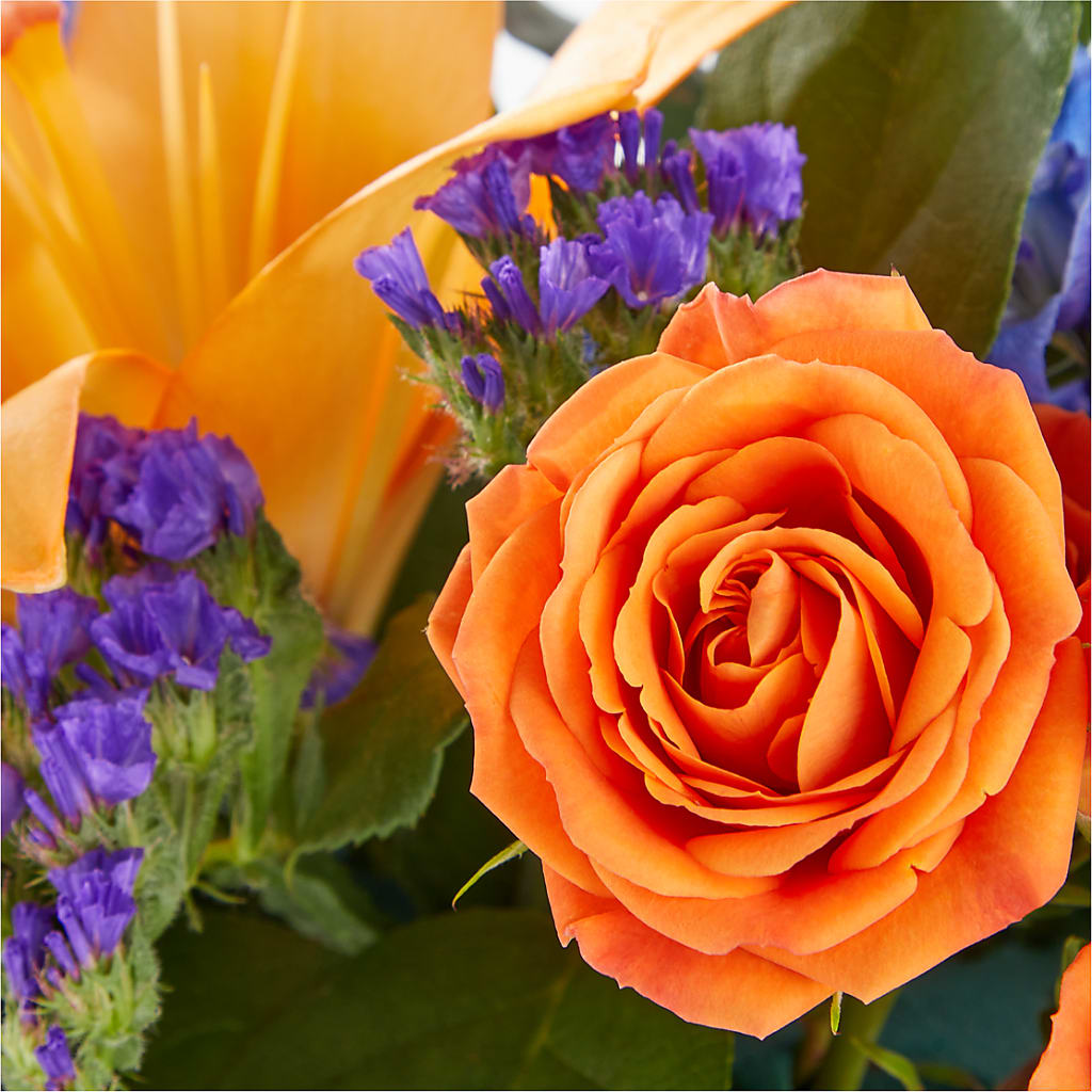 Radiant Citrus Box Bouquet –  Awesome Blossom Florist, San Antonio TX
