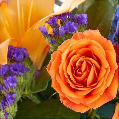 Radiant Citrus Box Bouquet –  Awesome Blossom Florist, San Antonio TX