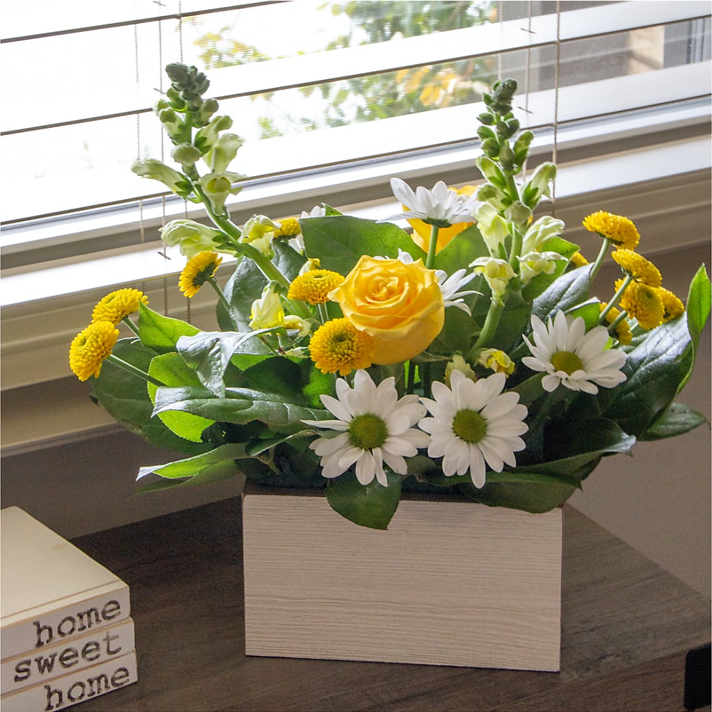 Sun Salutation Box Bouquet –  Awesome Blossom Florist, San Antonio TX