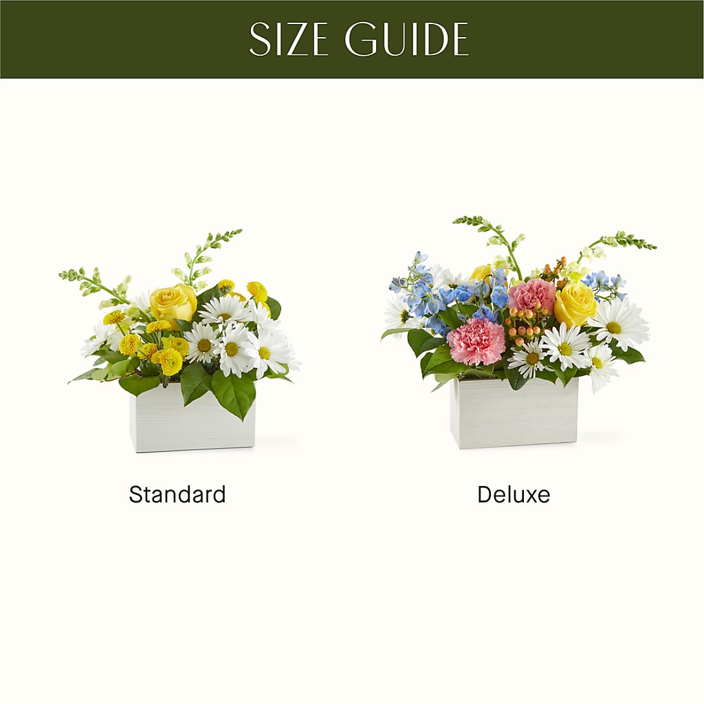 Sun Salutation Box Bouquet –  Awesome Blossom Florist, San Antonio TX
