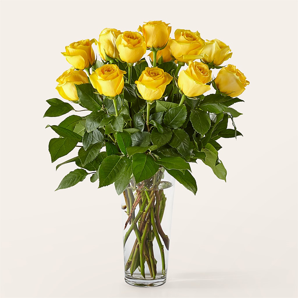 Long Stem Yellow Rose Bouquet –  Awesome Blossom Florist, San Antonio TX