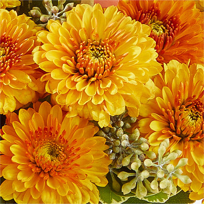 Peachy Pumpkin –  Awesome Blossom Florist, San Antonio TX