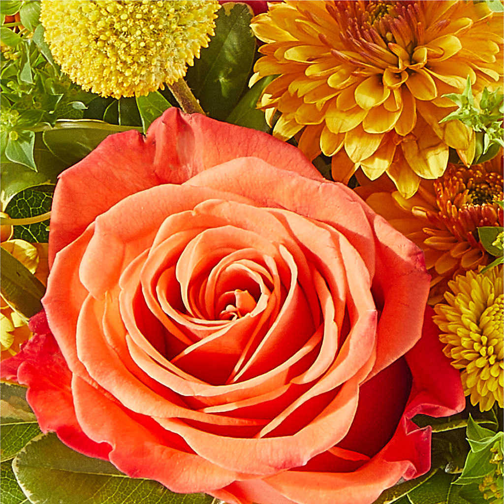 Gourdgeous Pumpkin –  Awesome Blossom Florist, San Antonio TX