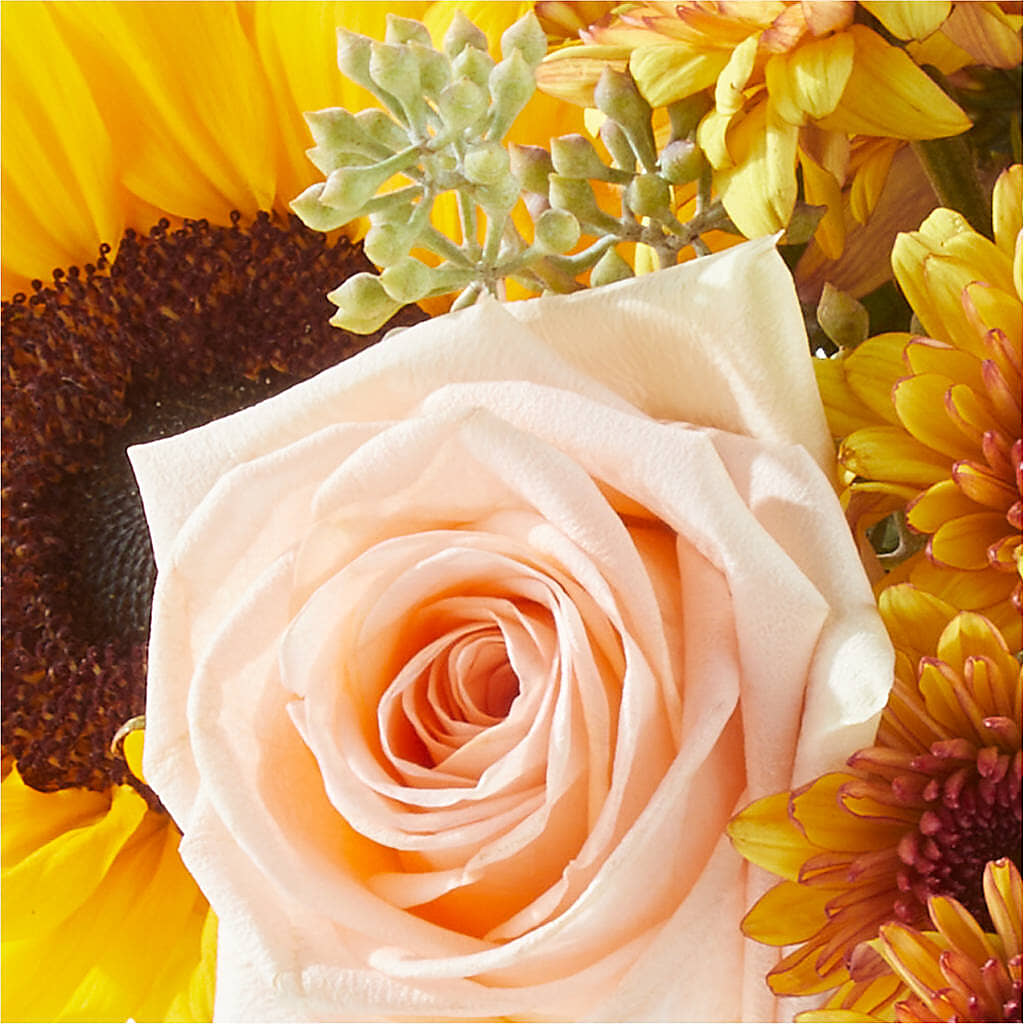 Pumpkin to Talk About Bouquet –  Awesome Blossom Florist, San Antonio TX