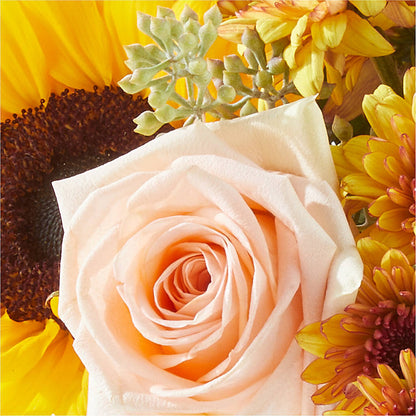Pumpkin to Talk About Bouquet –  Awesome Blossom Florist, San Antonio TX