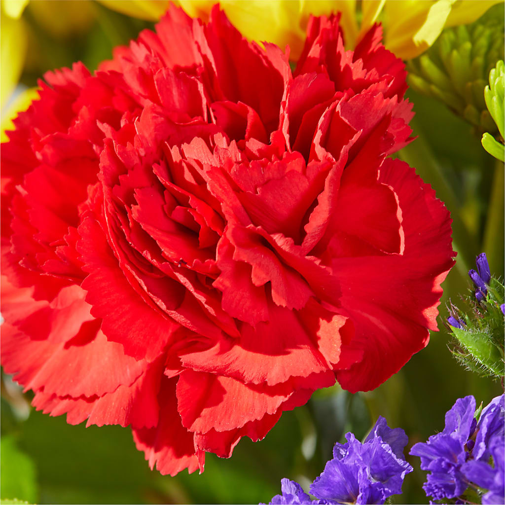 Brighter Days Bouquet –  Awesome Blossom Florist, San Antonio TX