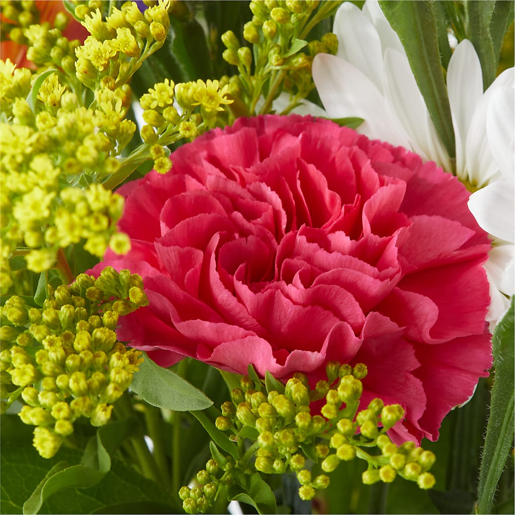 Oopsie Daisy Bouquet –  Awesome Blossom Florist, San Antonio TX