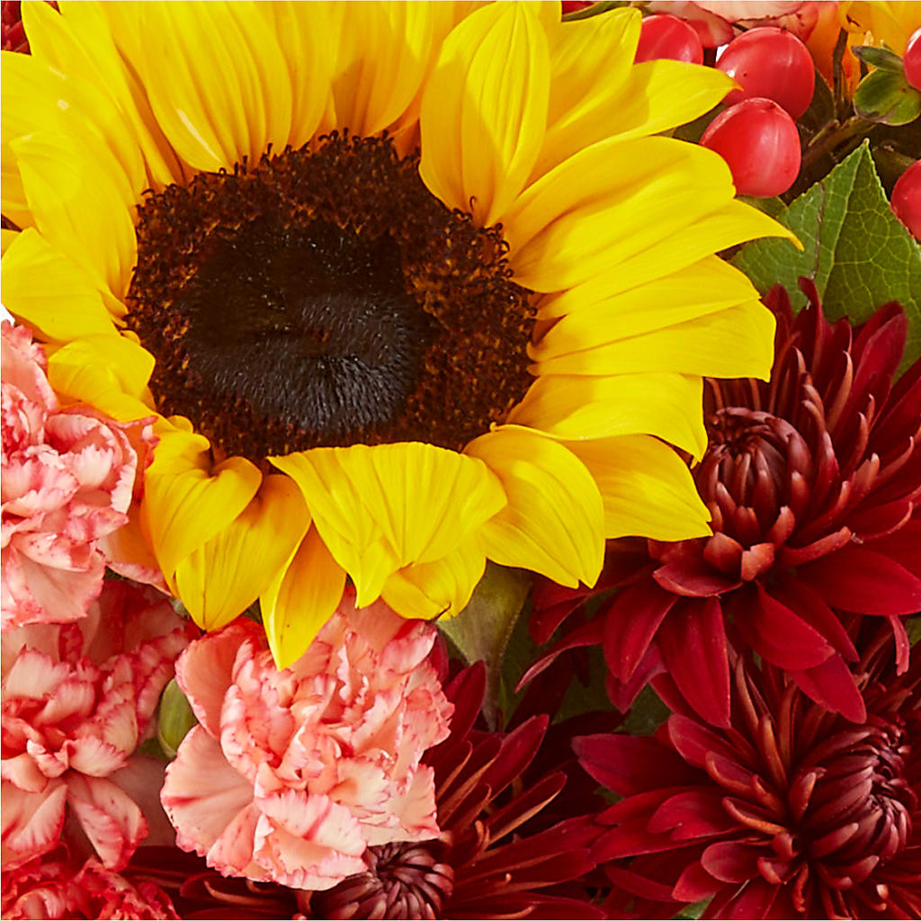 Fresh Cider Bouquet –  Awesome Blossom Florist, San Antonio TX