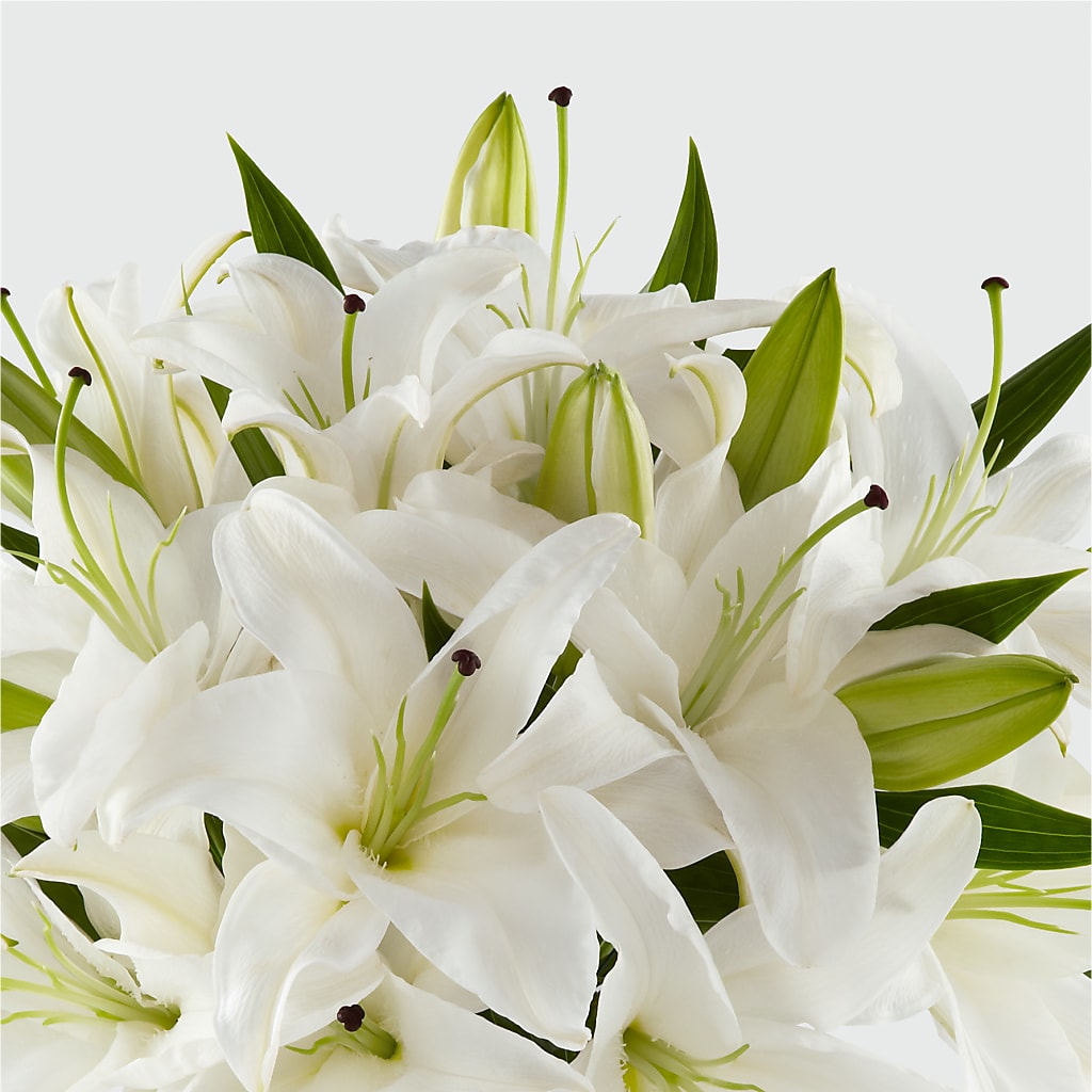 Faithful Blessings Bouquet –  Awesome Blossom Florist, San Antonio TX