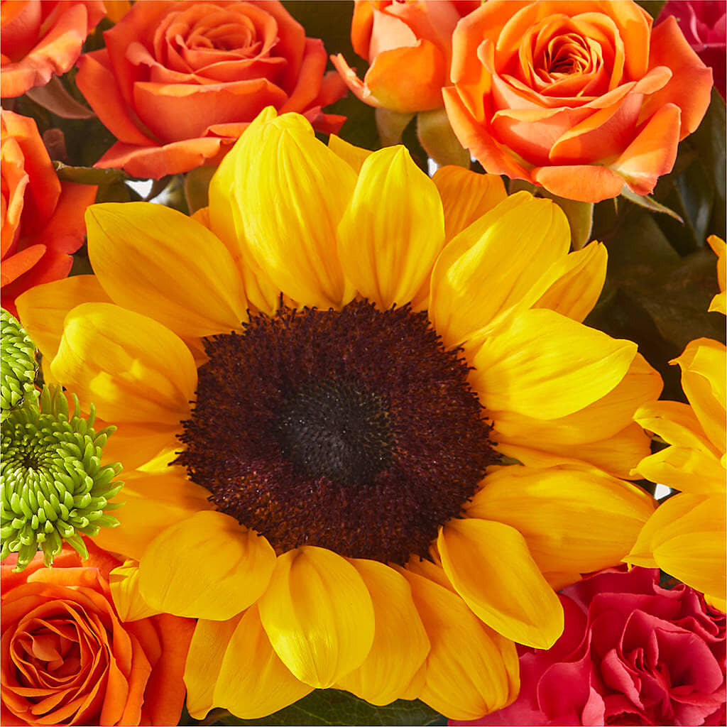 Sun-drenched Blooms Box Bouquet –  Awesome Blossom Florist, San Antonio TX