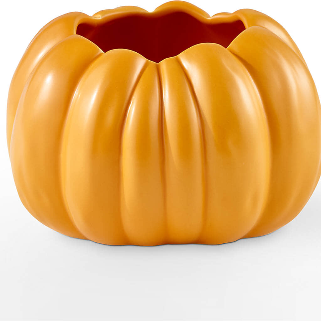 Golden Gourd Pumpkin Bouquet –  Awesome Blossom Florist, San Antonio TX
