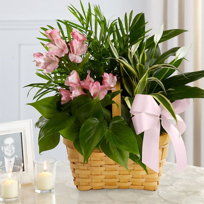 Living Spirit Dishgarden –  Awesome Blossom Florist, San Antonio TX