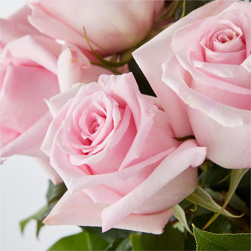 Picture Perfect Pink Rose Bouquet –  Awesome Blossom Florist, San Antonio TX
