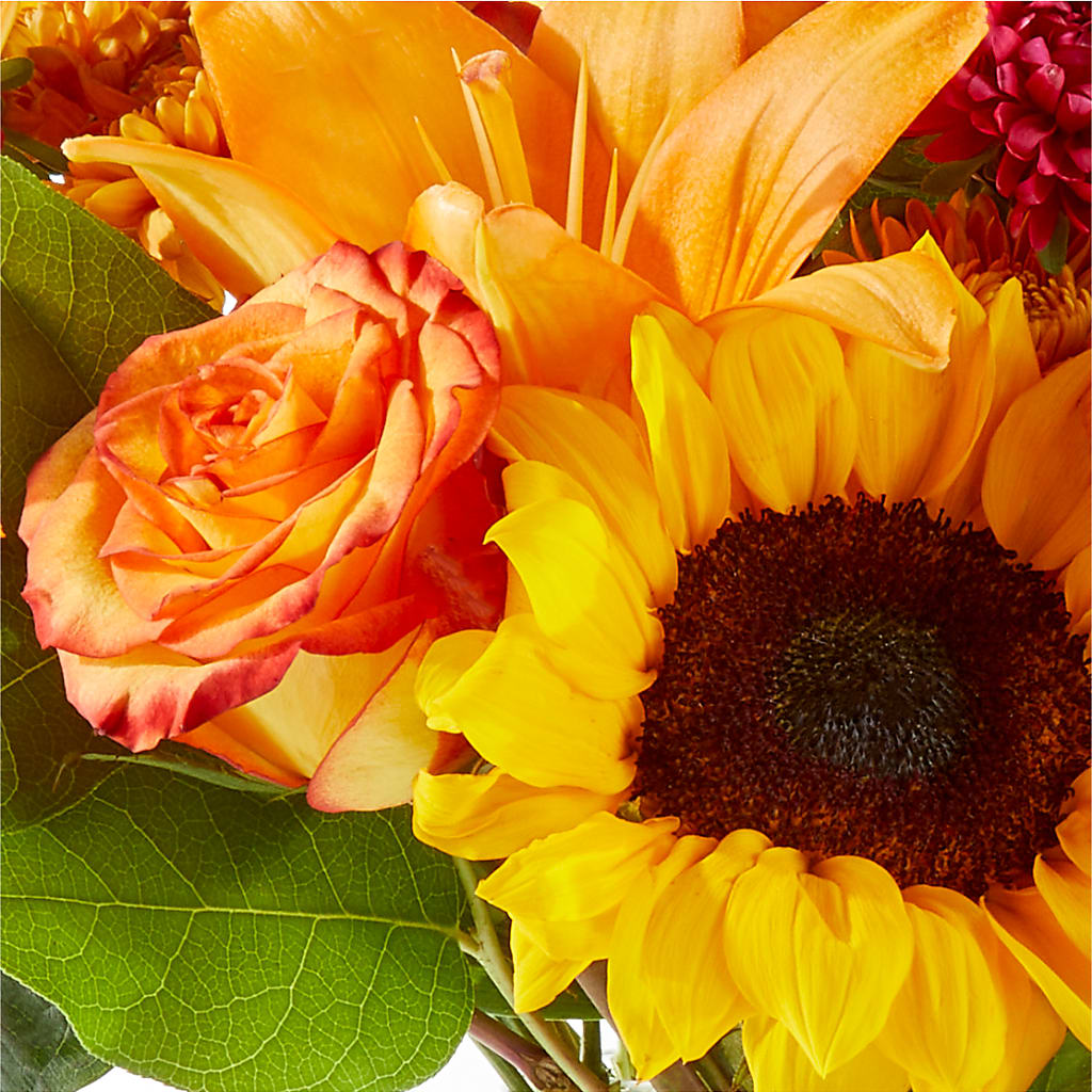 Fall Day Bouquet –  Awesome Blossom Florist, San Antonio TX