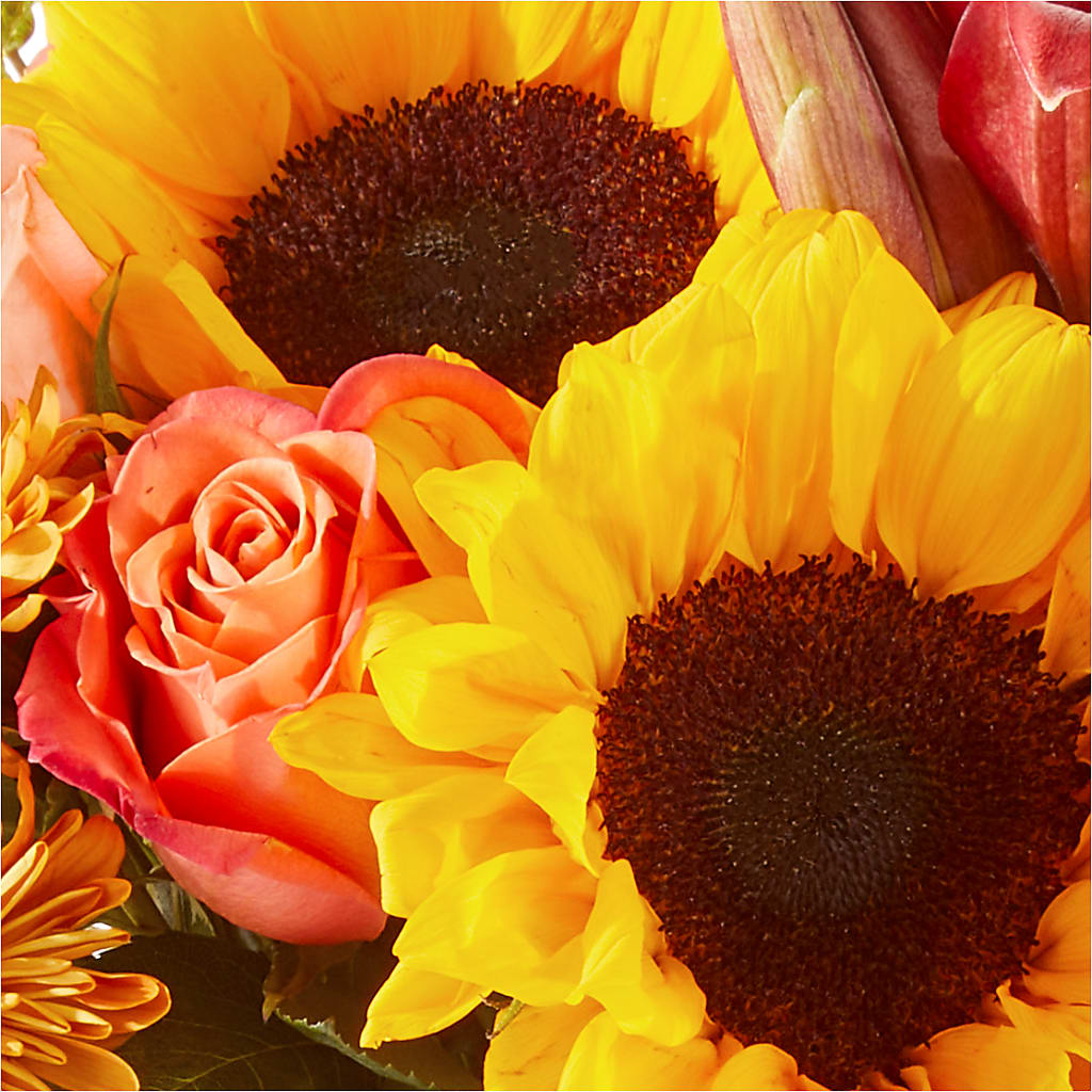 Acorn Lane Bouquet –  Awesome Blossom Florist, San Antonio TX