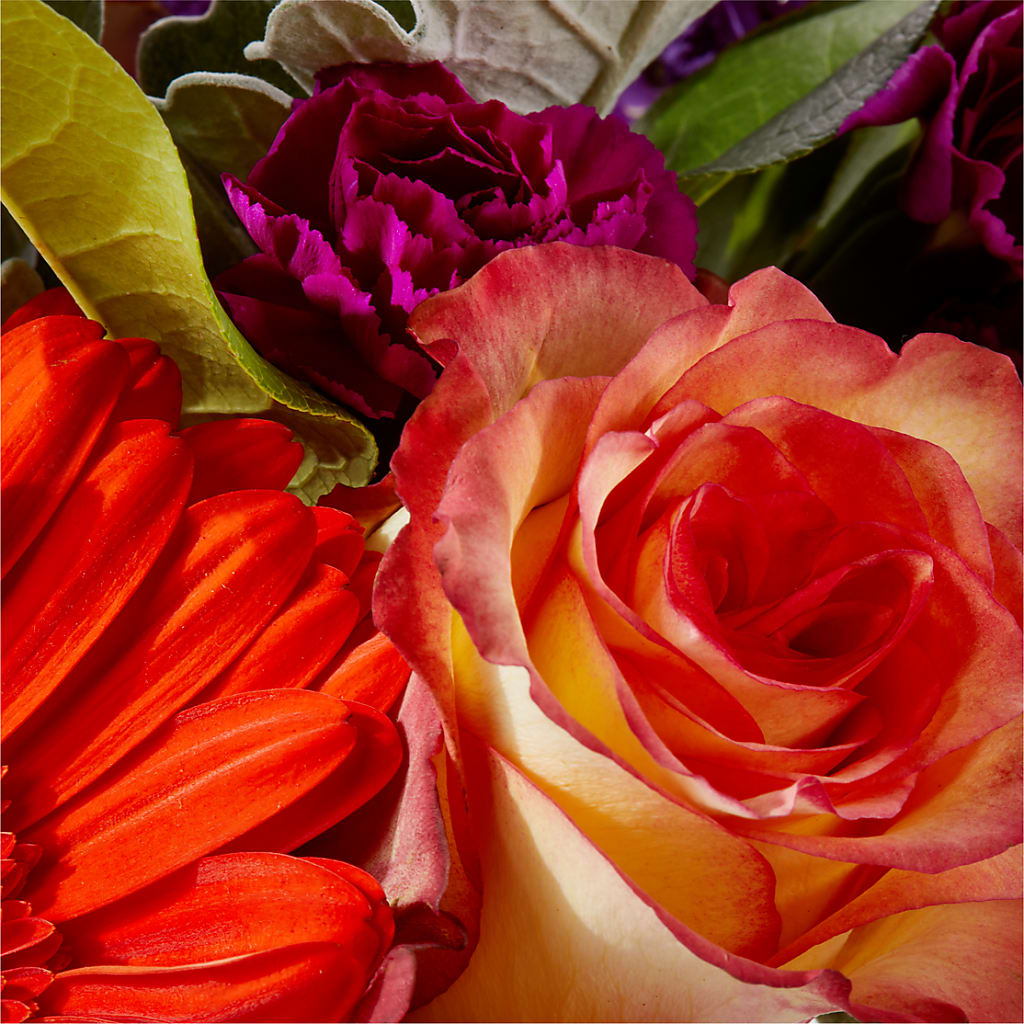 Sangria Bouquet –  Awesome Blossom Florist, San Antonio TX