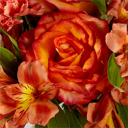 Apricot Glow Bouquet –  Awesome Blossom Florist, San Antonio TX