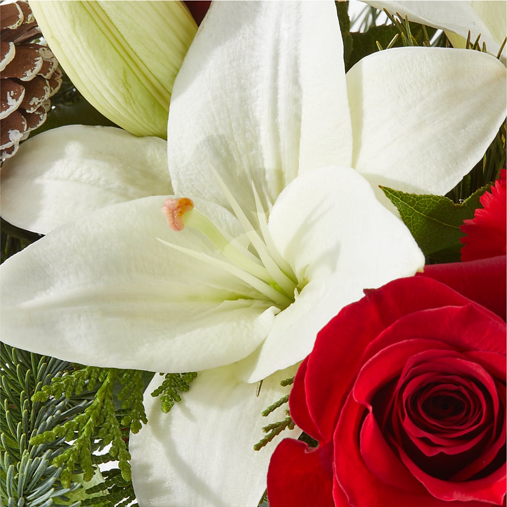 Oh So Jolly Bouquet –  Awesome Blossom Florist, San Antonio TX
