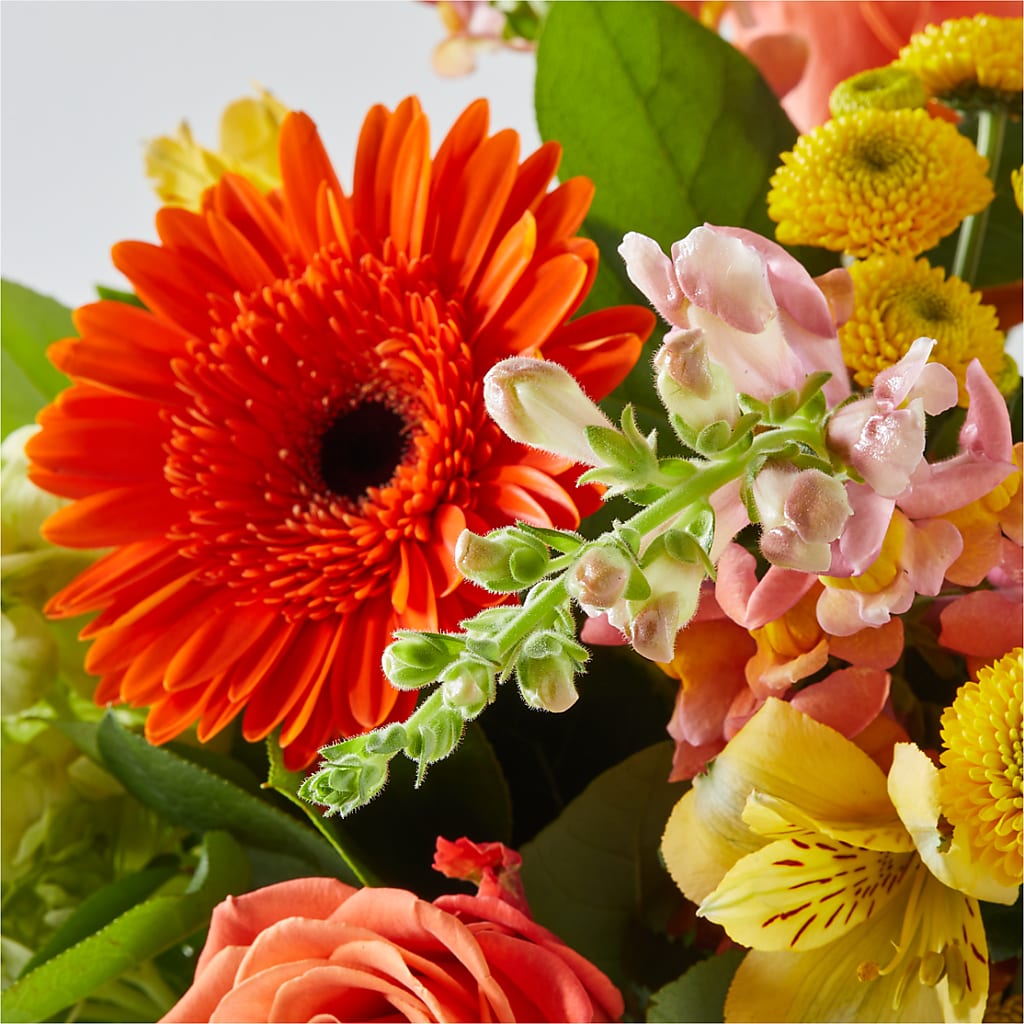 Autumn Sunshine Bouquet –  Awesome Blossom Florist, San Antonio TX