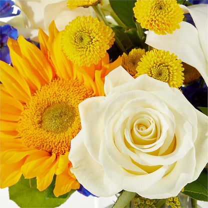 Stargazing Bouquet –  Awesome Blossom Florist, San Antonio TX