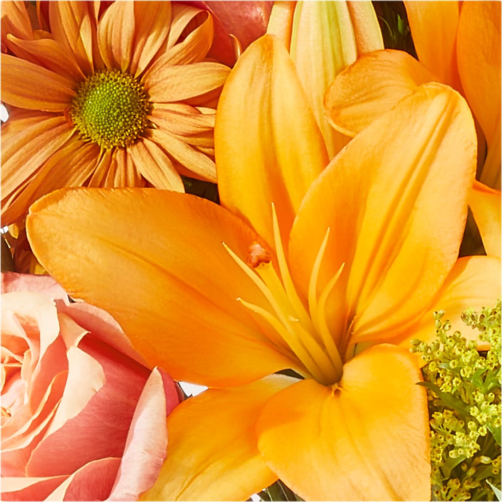 Harvest Hayride Bouquet –  Awesome Blossom Florist, San Antonio TX