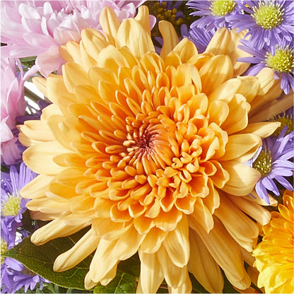 Countryside Bouquet –  Awesome Blossom Florist, San Antonio TX