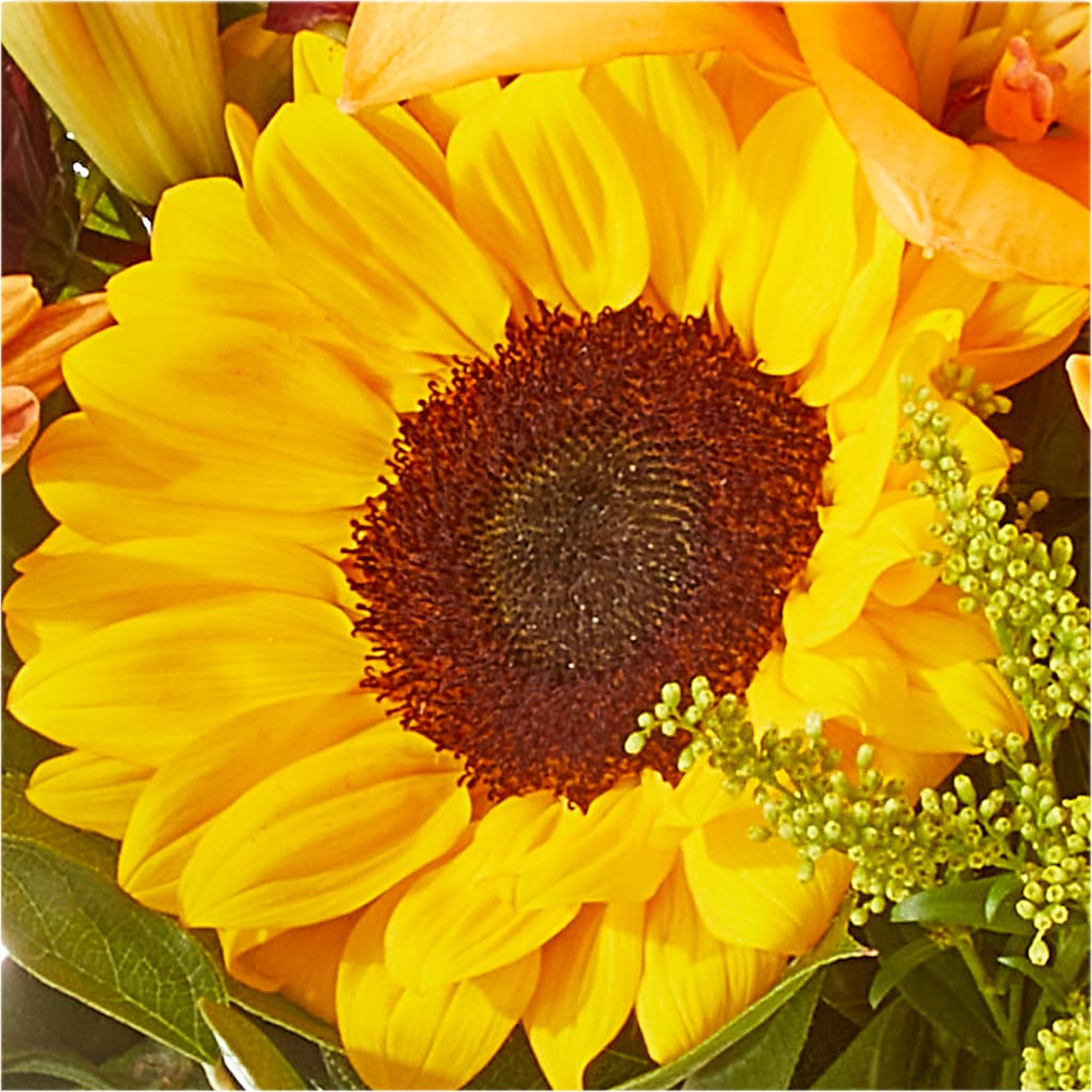 Seasons Change Bouquet –  Awesome Blossom Florist, San Antonio TX