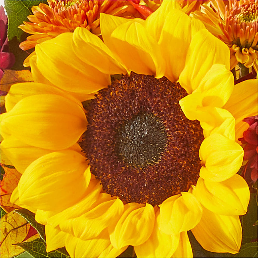 Sunny Side Bouquet –  Awesome Blossom Florist, San Antonio TX