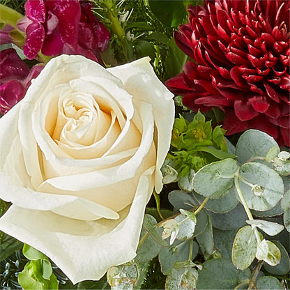 Cranberry Fizz Bouquet –  Awesome Blossom Florist, San Antonio TX