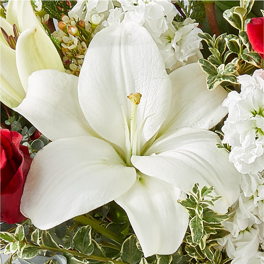 Twinkle Lights Bouquet –  Awesome Blossom Florist, San Antonio TX