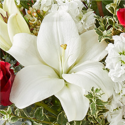 Twinkle Lights Bouquet –  Awesome Blossom Florist, San Antonio TX