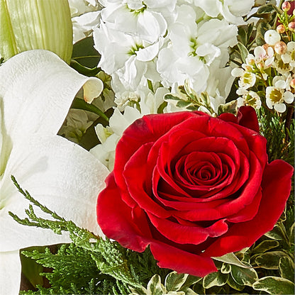 Twinkle Lights Bouquet –  Awesome Blossom Florist, San Antonio TX